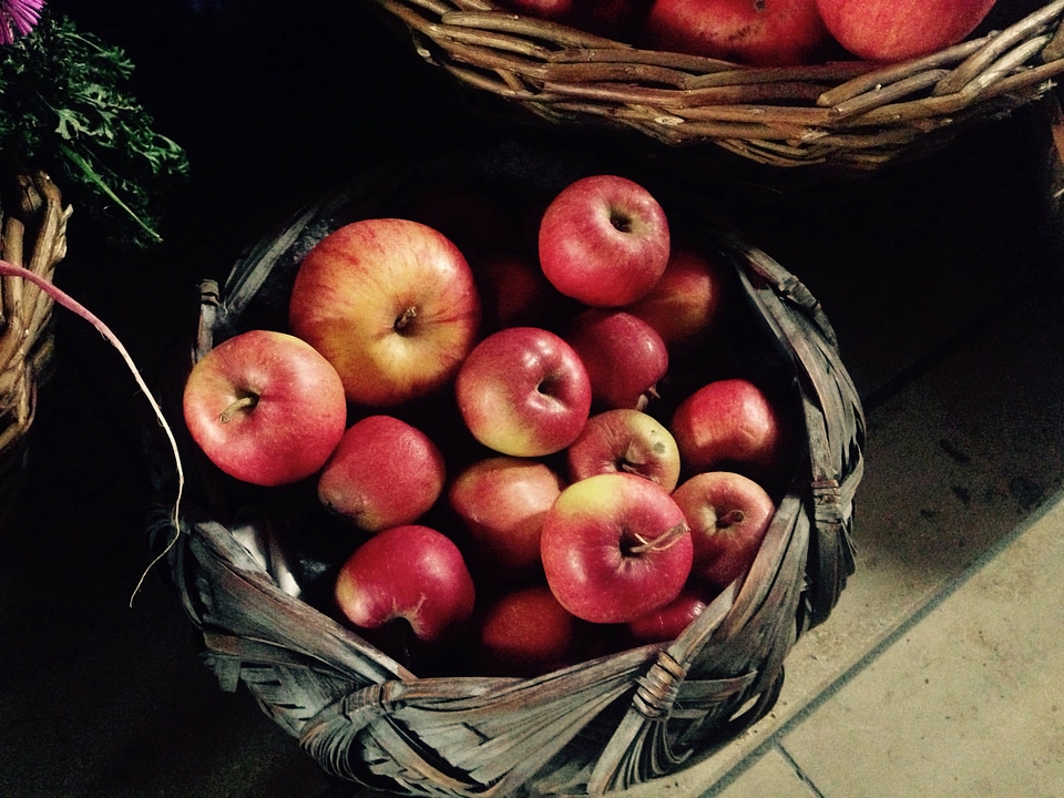 Basket thanksgiving harvest