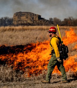 Pompeys Pillar Rx Burn