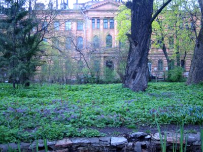 Botanical Garden SPbSU Ботанический сад СПбГУ