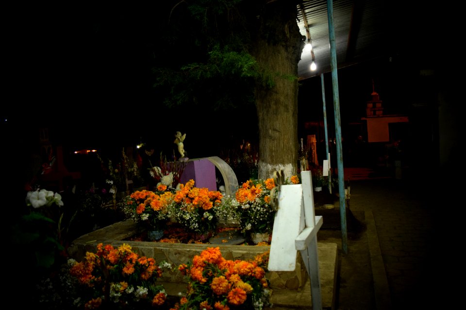 DSC 0473