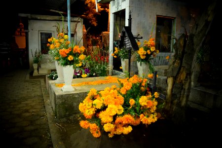 DSC 0430