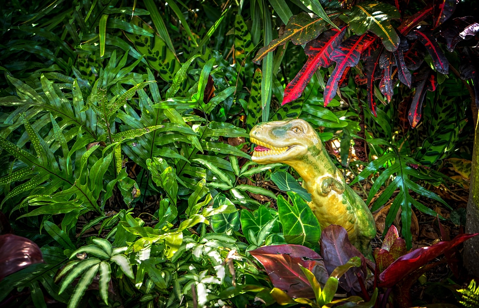 Tropical green nature