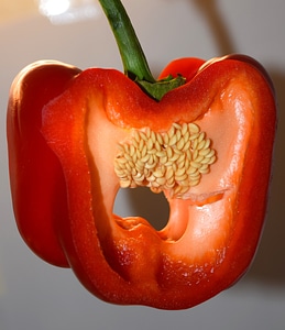 Pepperoni seeds inner workings