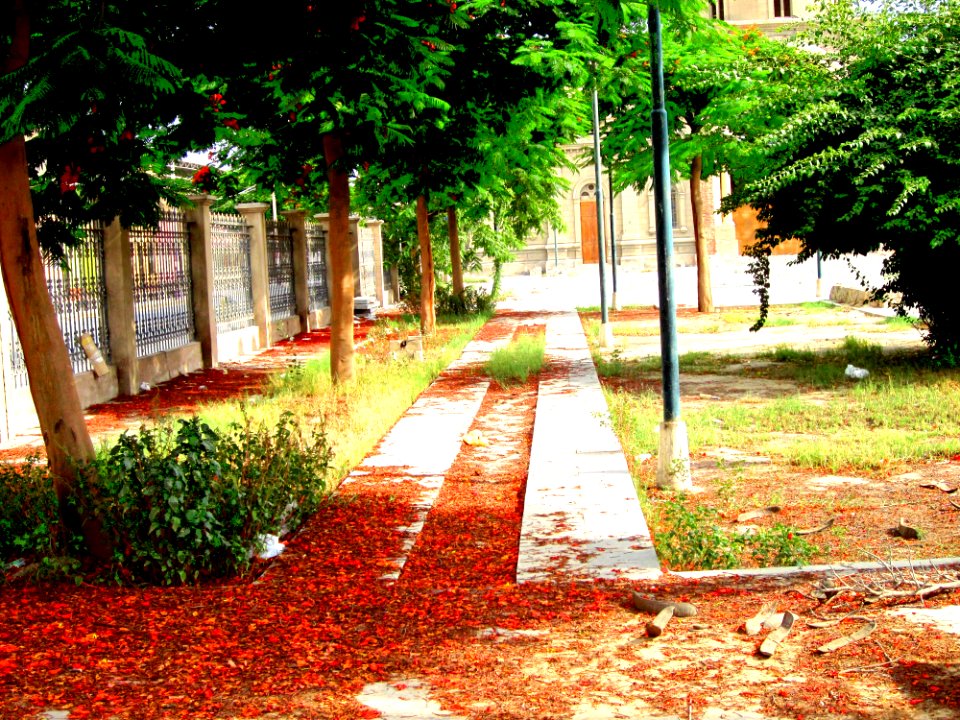Jardín