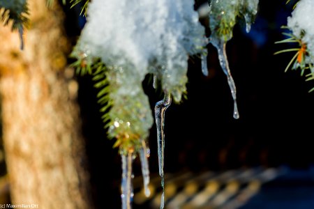 Icicle photo