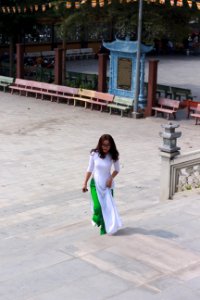 IMG 9541