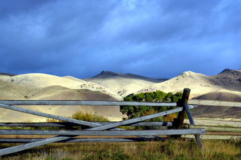 Henneberry House and Surrounding Area