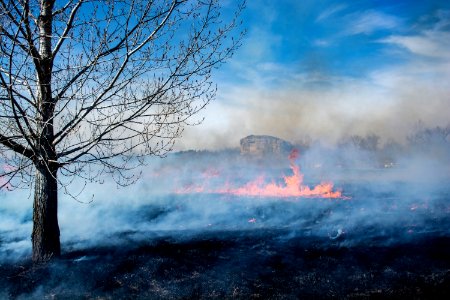 Pompeys Pillar Rx Burn March 2020