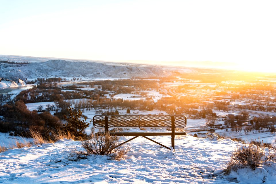 Lonely Park Bench