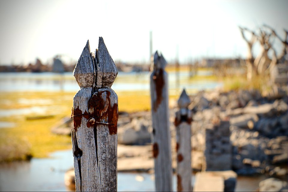 Still standing