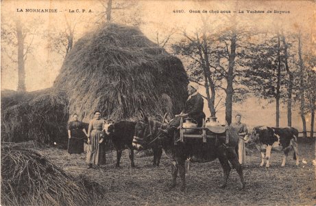 LA NORMANDIE - GENS DE CHER NOUS - LA VACHERE DE BAYEUX