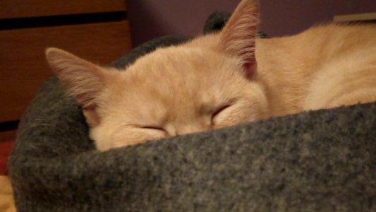 IMG 20210130 223844