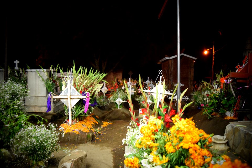 DSC 0431