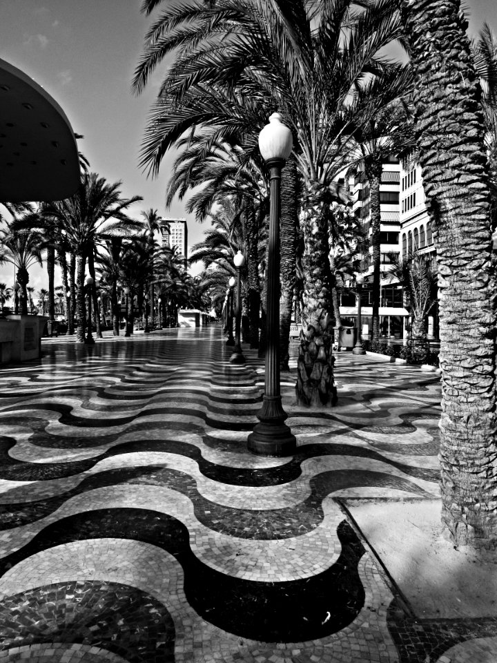 malaga