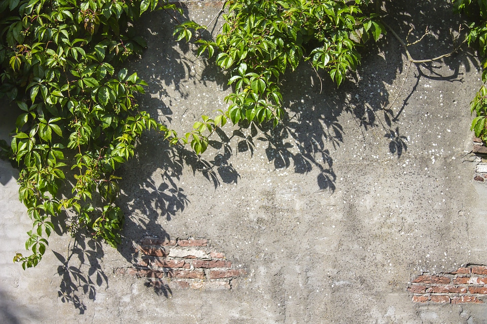 Vintage wall old wall