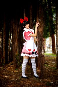 DSC04110