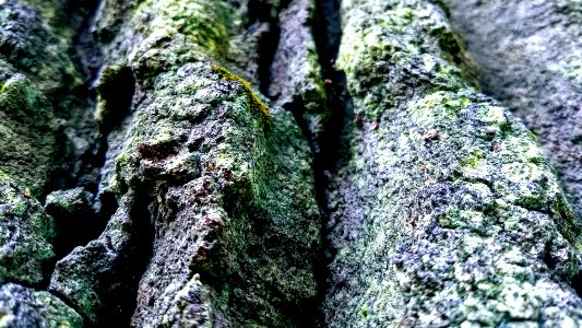 Crevices