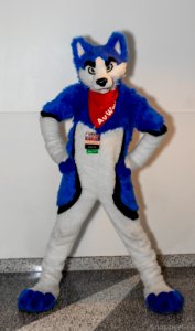 Super Wuff photo