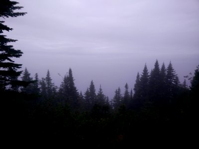 134 - Parc national Forillon : Sentier Les Graves