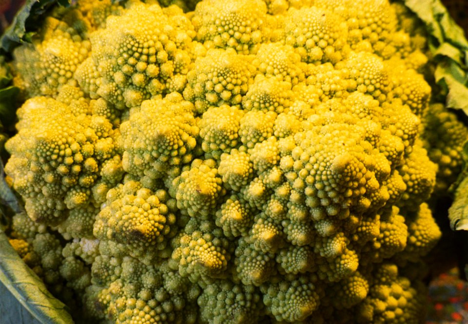 broccoflower closeup