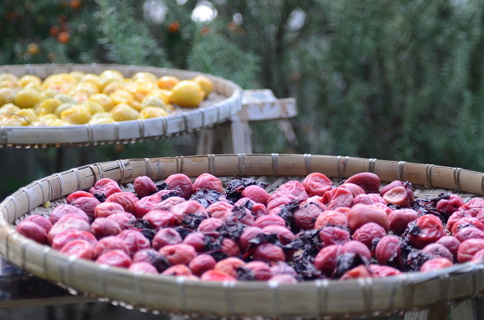 Harvest fruit healthy eating