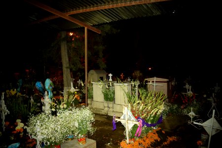 DSC 0455