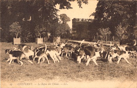 27 CHEVERNY - LE REPAS DE CHIENS