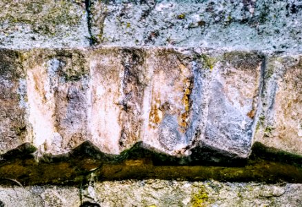 Brickology