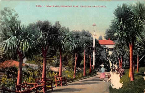 1684.PALM WALK PIEDMONT PARK OAKLAND CALIFORNIA