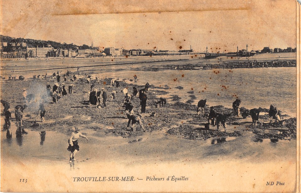 113 TROUVILLE-SUR-MER - PECHEURS D'EQUILLES
