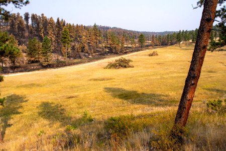Bobcat Fire 2020