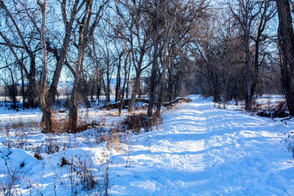 Sundance Lodge Winter 2017
