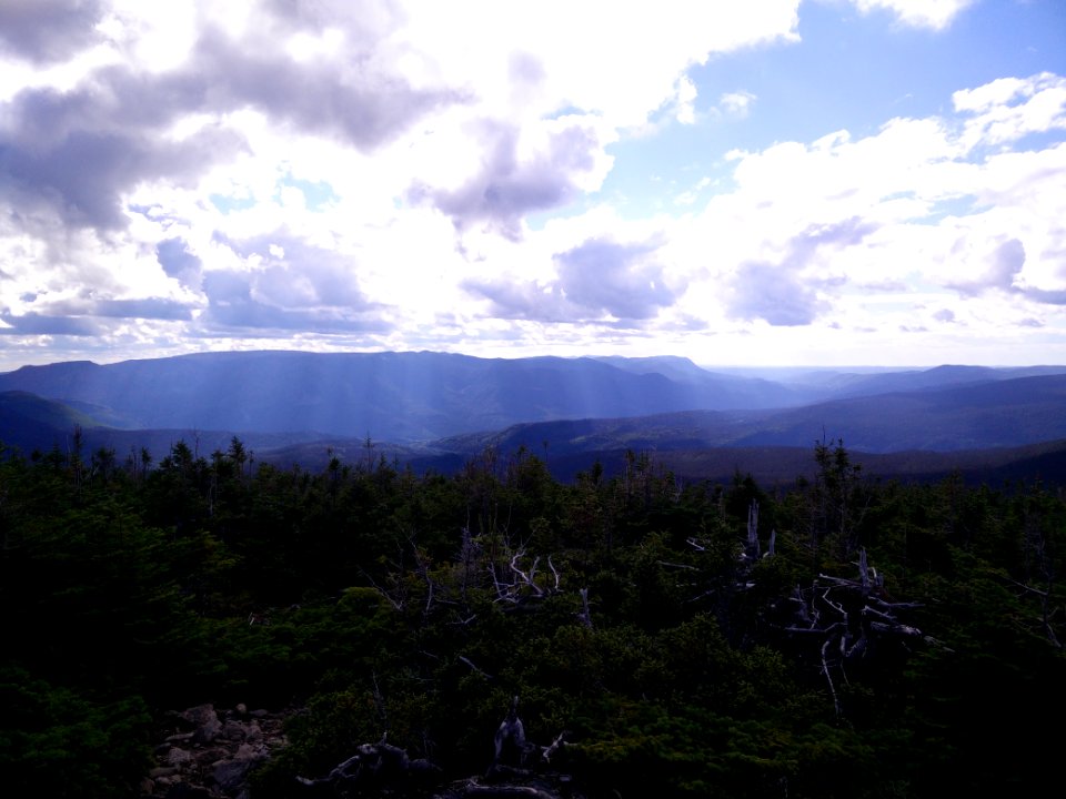 023 - Parc national de la Gaspésie : Mont Xalibu