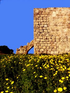 From ancient times by Claudia's Photography