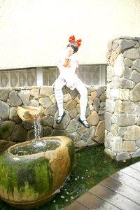 DSC08221