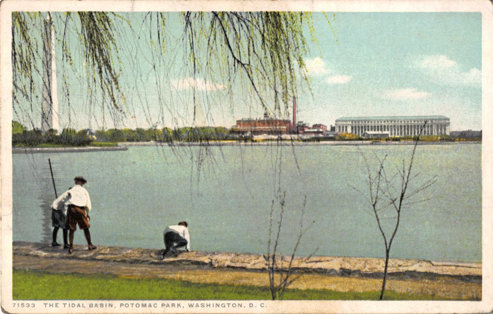 71533 THE TIDAL BASIN POTOMAC PARK WASHINGTON DC