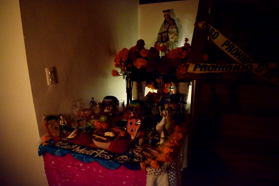 DSC 0367