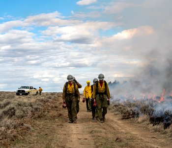 Kendall Coulee South Rx Fire photo