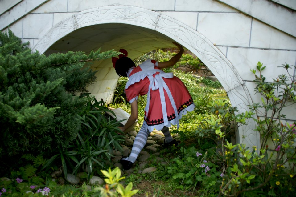 DSC08268