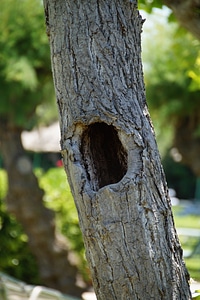 Hole dwelling point