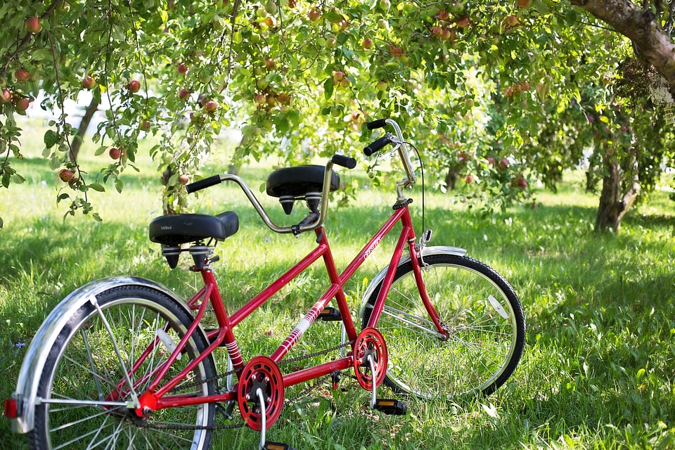 Apples bike tandem