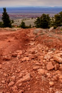 20200504 Pryor Mtns 28