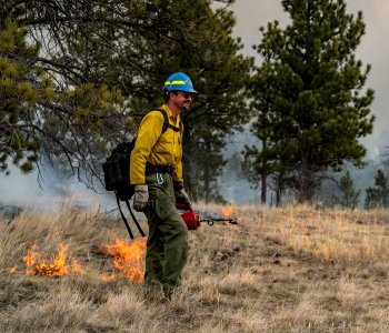 Kendall Coulee South Rx Fire