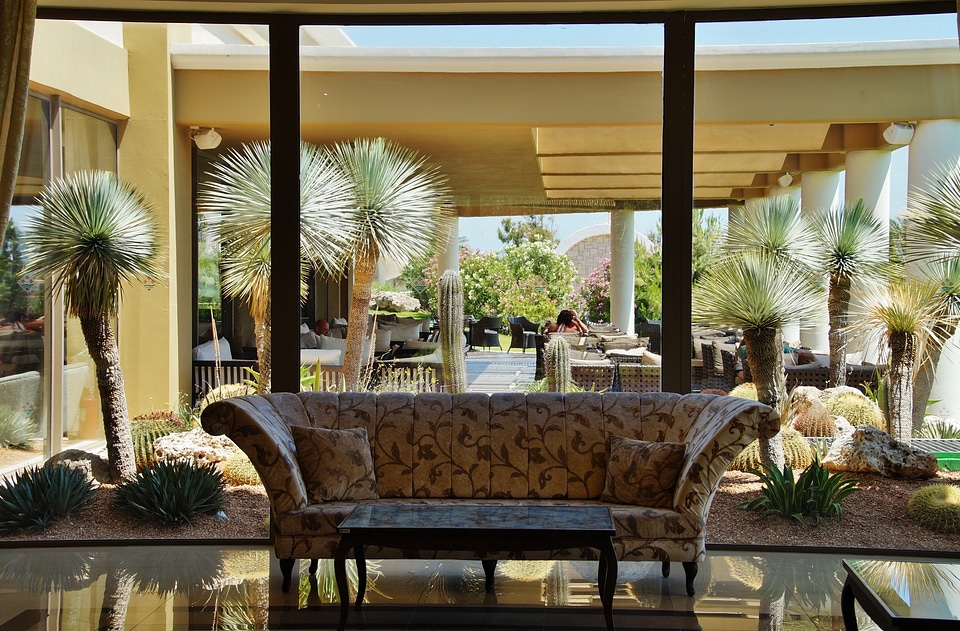 Into the garden trees sofa