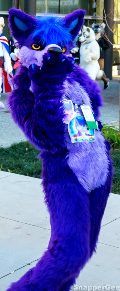 Xerxes Purple Powa