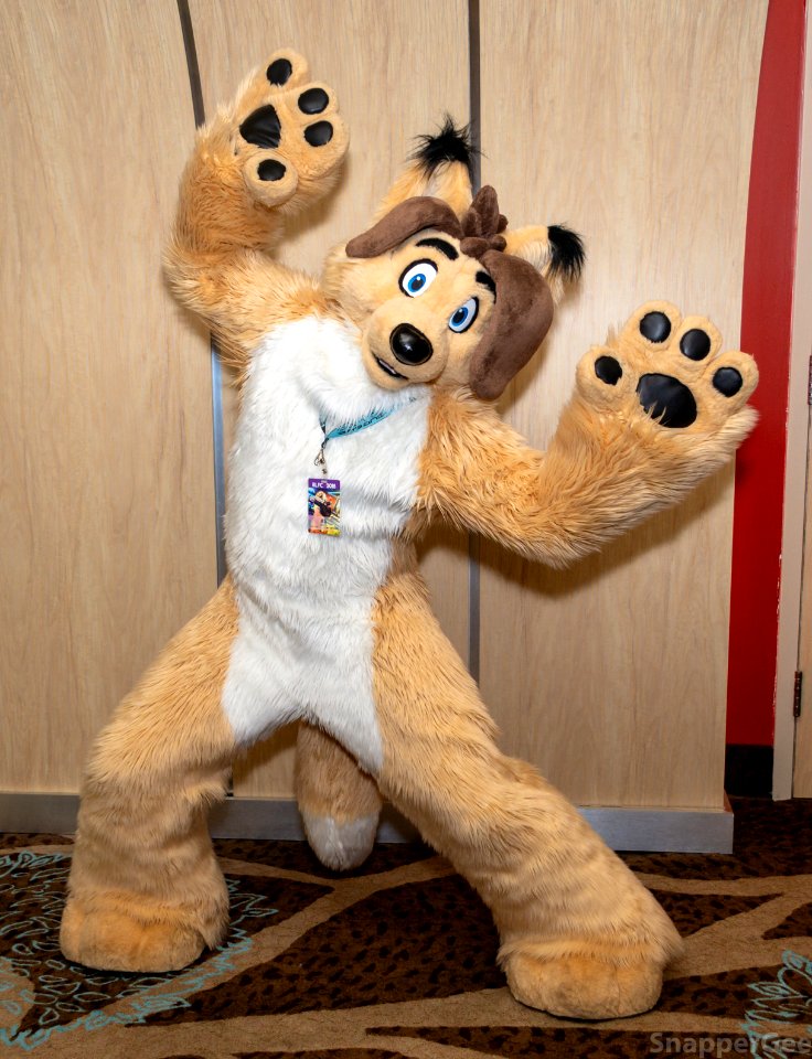 Jazz Paws!