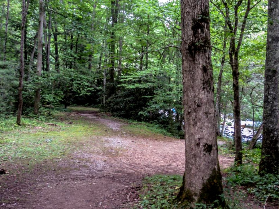 Millsap Site01.jpg
