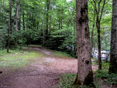 Millsap Site01.jpg