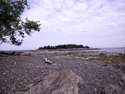 256 - Parc national du Bic : Le Chemin-du-Nord