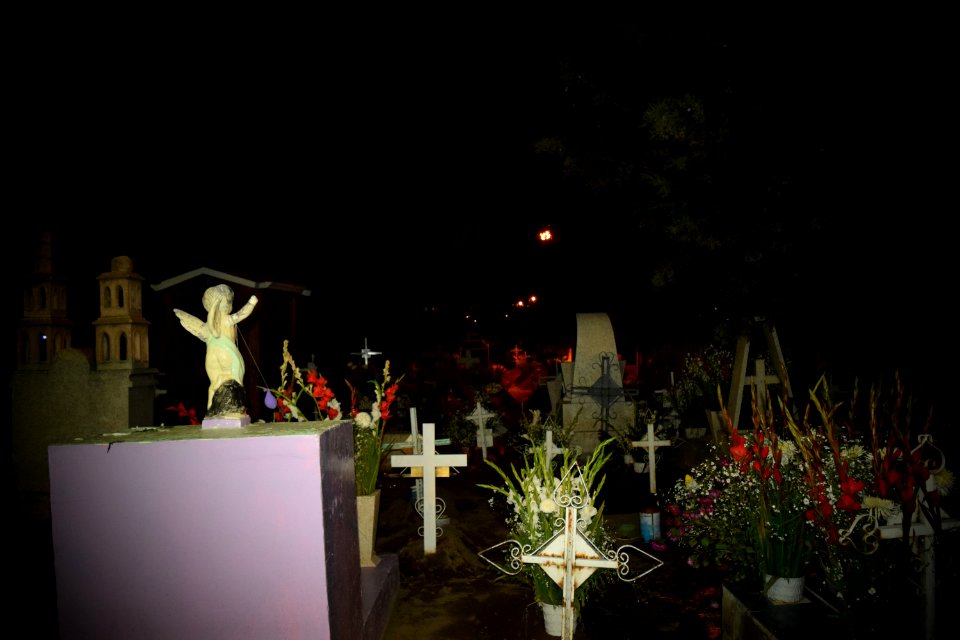 DSC 0469
